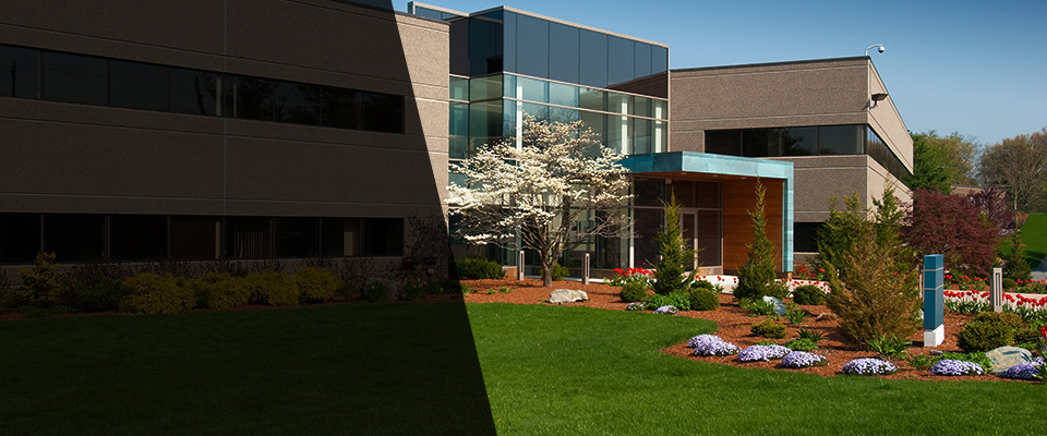 Gulf Breeze Landscapers