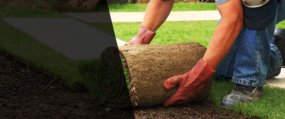 Gulf Breeze Landscapers